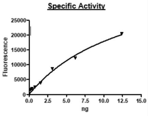 Activity Data (USP2-320H).jpg
